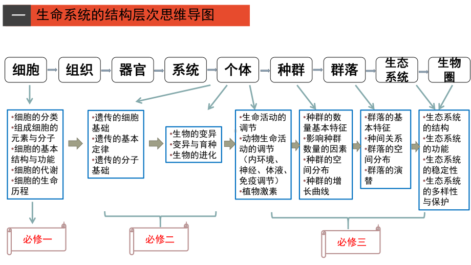 人教版高中生物必修一第一章走近细胞复习课件(共31张).pptx_第2页