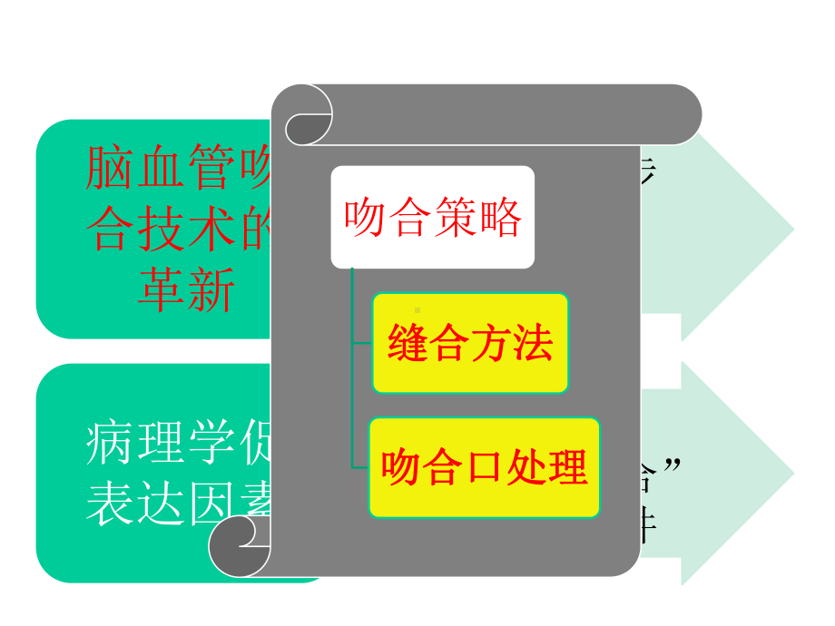 影响脑血管吻合术后血管愈合.ppt_第3页