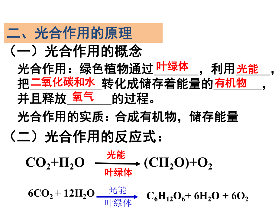 新人教版课件54光合作用2.pptx_第3页