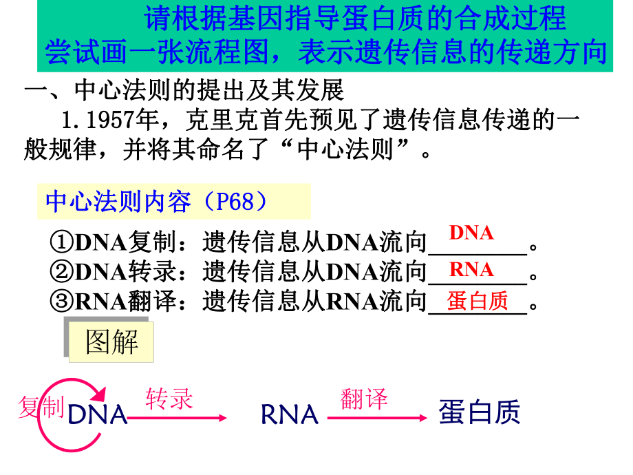 高中生物必修二基因对性状的控制课件.ppt_第2页