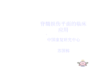 脊髓损伤平面的临课件.ppt