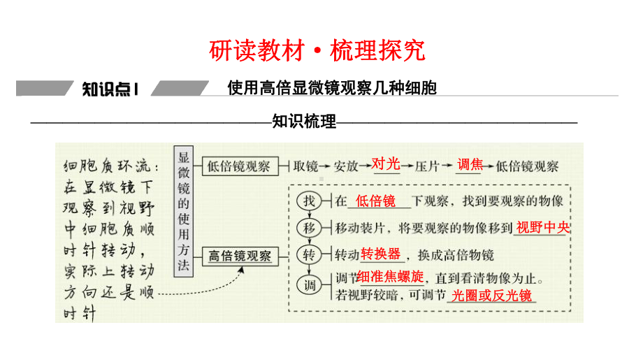 高中生物一轮复习：细胞的多样性和统一性课件.pptx_第3页