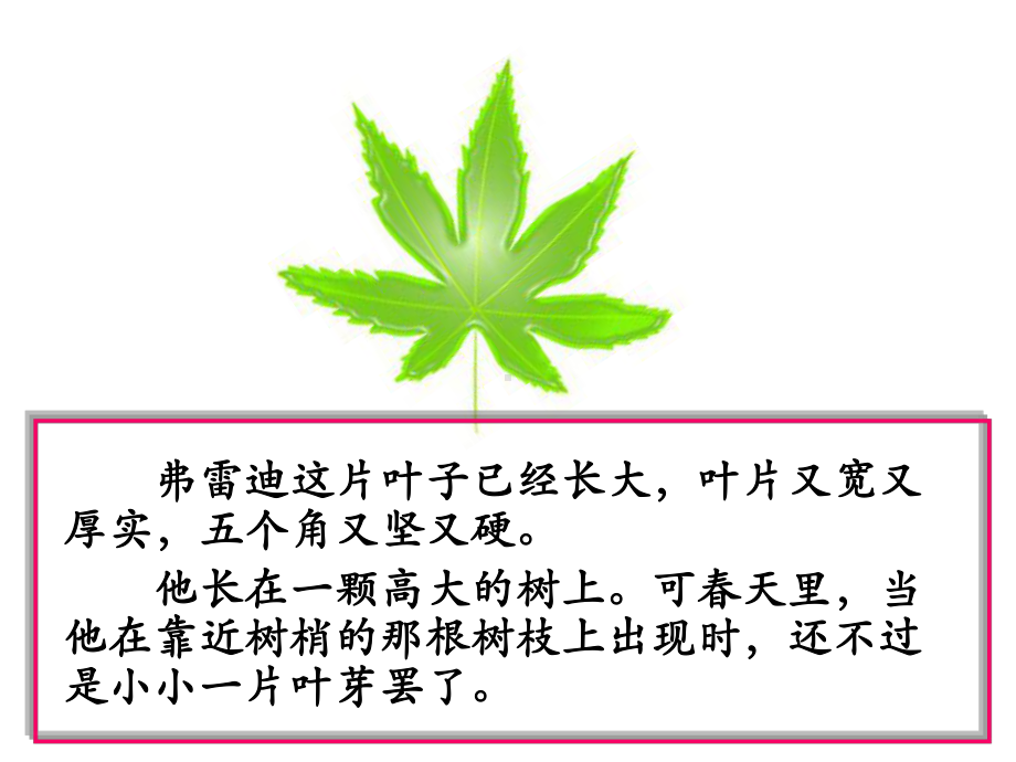 一片叶子落下来.ppt_第3页