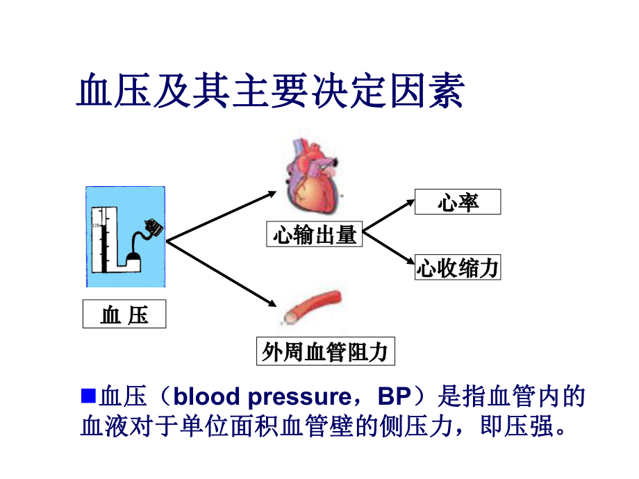 抗高血压药物(tft).ppt_第3页