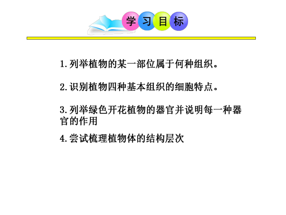 人教版七年级上生物植物体的结构层次.pptx_第3页