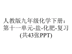 人教版九年级化学下册：第十一单元盐化肥复习(共43张).ppt