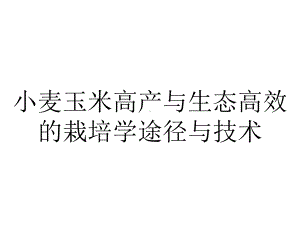 小麦玉米高产与生态高效的栽培学途径与技术.ppt