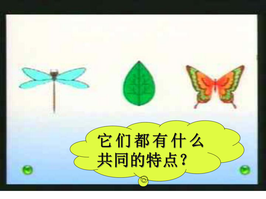 对称PPT教学课件.ppt_第3页