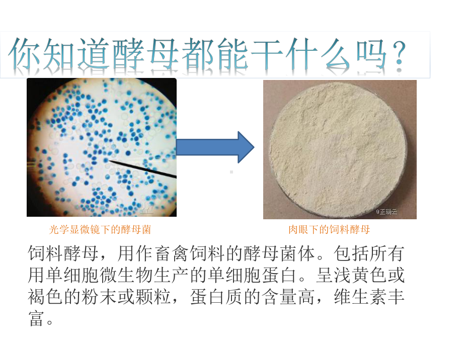 高中生物第5章第3节细胞呼吸的原理和应用(王为营)课件新人教版必修1.ppt_第2页