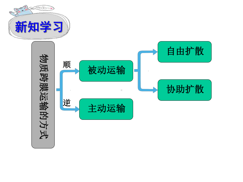 高中生物必修一物质跨膜运输方式课件.ppt_第3页