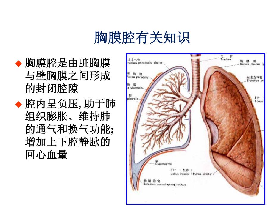 闭式胸腔引流课件.ppt_第3页