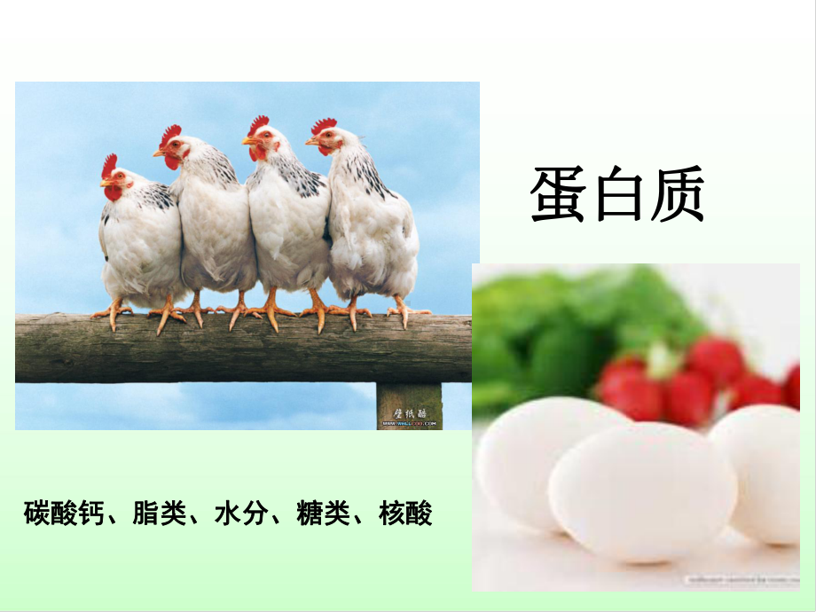 细胞中的无机物课件.ppt_第2页