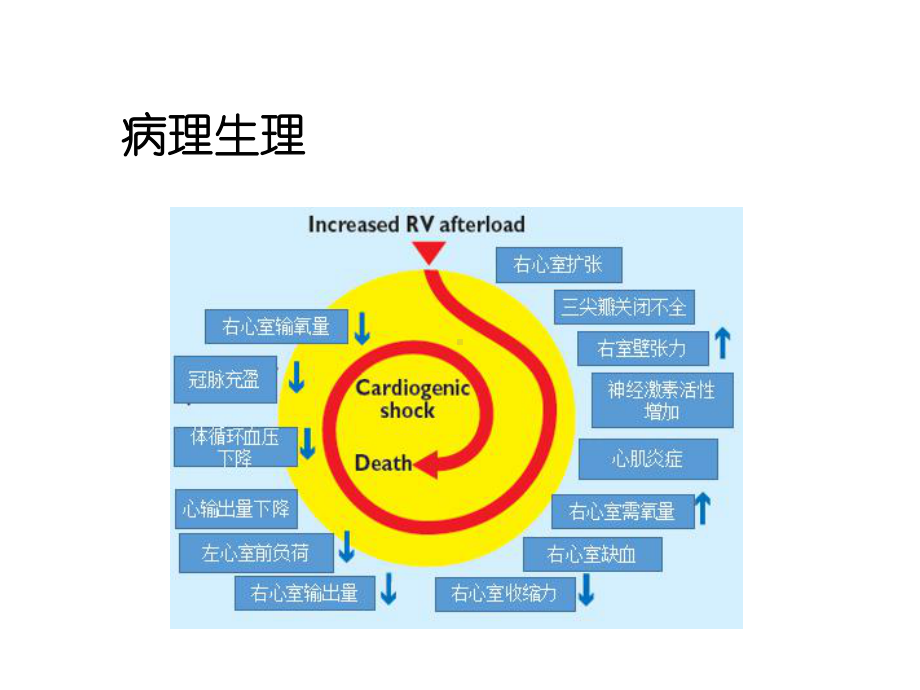 急性肺栓塞的ECG.ppt_第2页