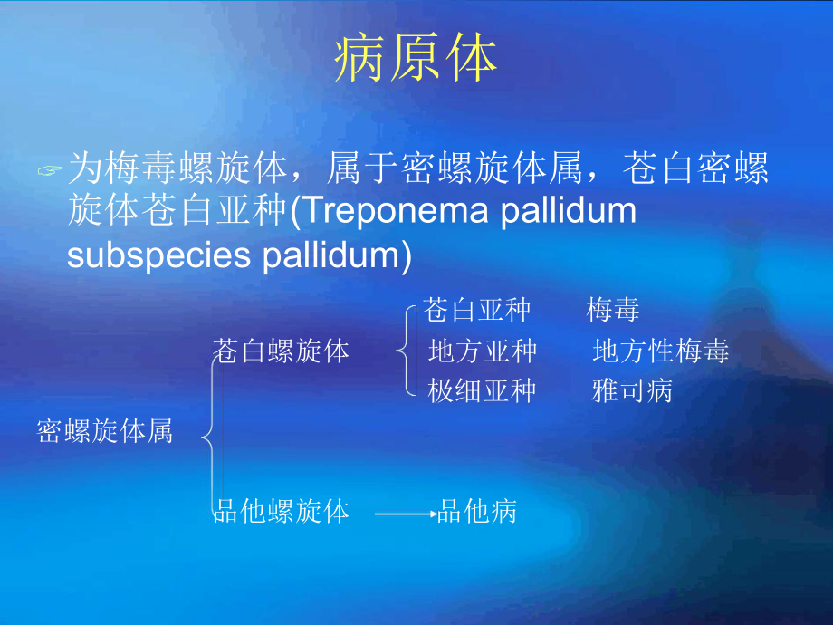 梅毒实验室检测汇总课件.ppt_第2页