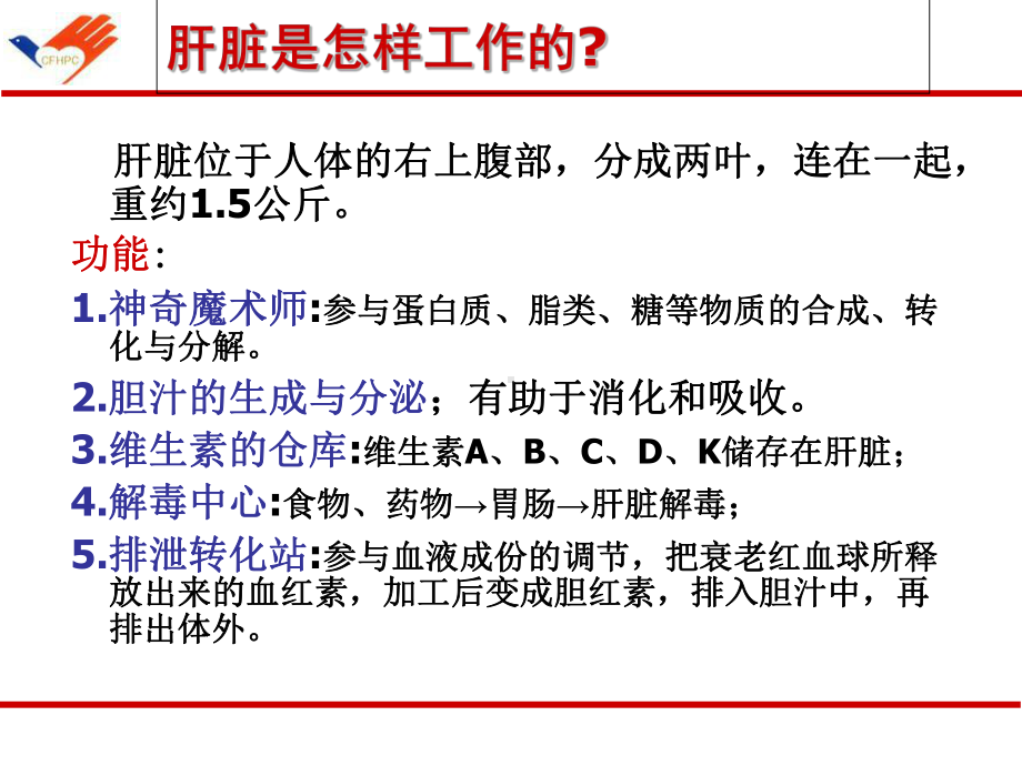 乙型肝炎疾病健康教育PP课件.ppt_第2页