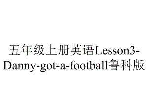 五年级上册英语Lesson3Dannygotafootball鲁科版.ppt-(课件无音视频)