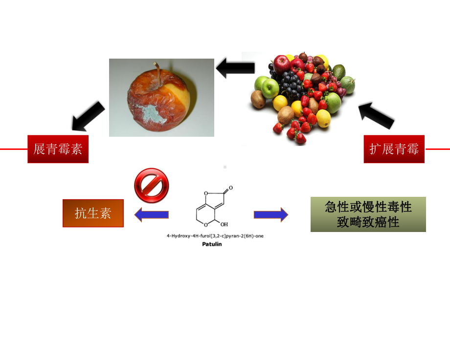 扩展青霉对不同品种猕猴桃汁的侵染性评价及植物精油的抑菌效果初探.ppt_第3页