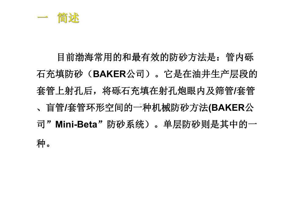 Baker单层砾石充填工艺探讨.ppt_第2页