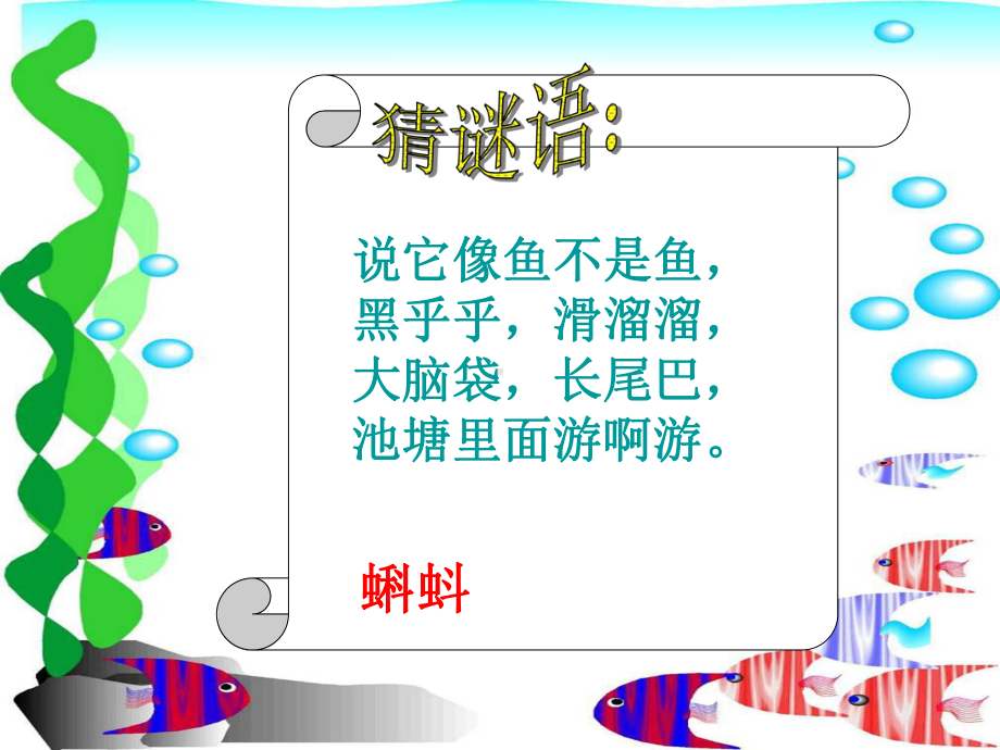 小蝌蚪找妈妈第一课时课件.ppt_第2页