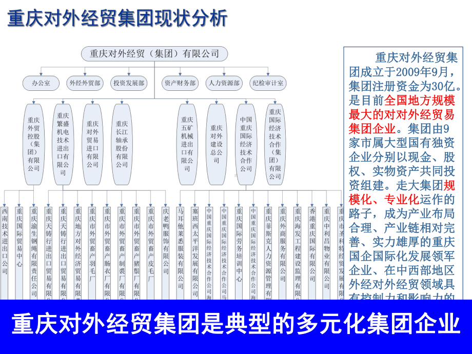 外贸集团财务信息化方案.ppt_第3页