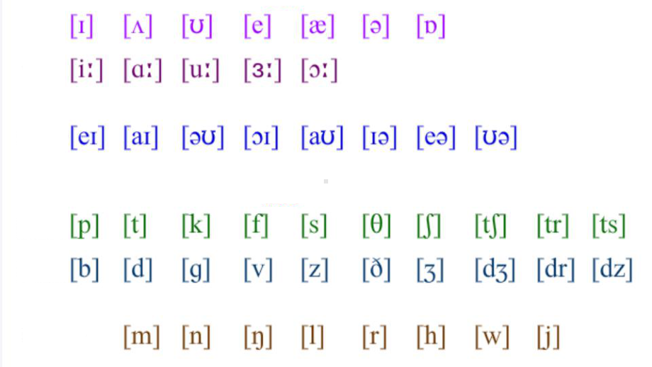 英语音标拼读规则教学(共16张)课件.pptx_第1页