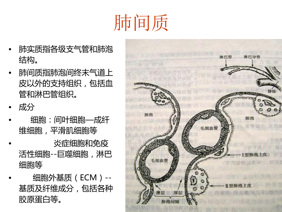 间质性肺疾病的治疗与护理课件.ppt_第1页