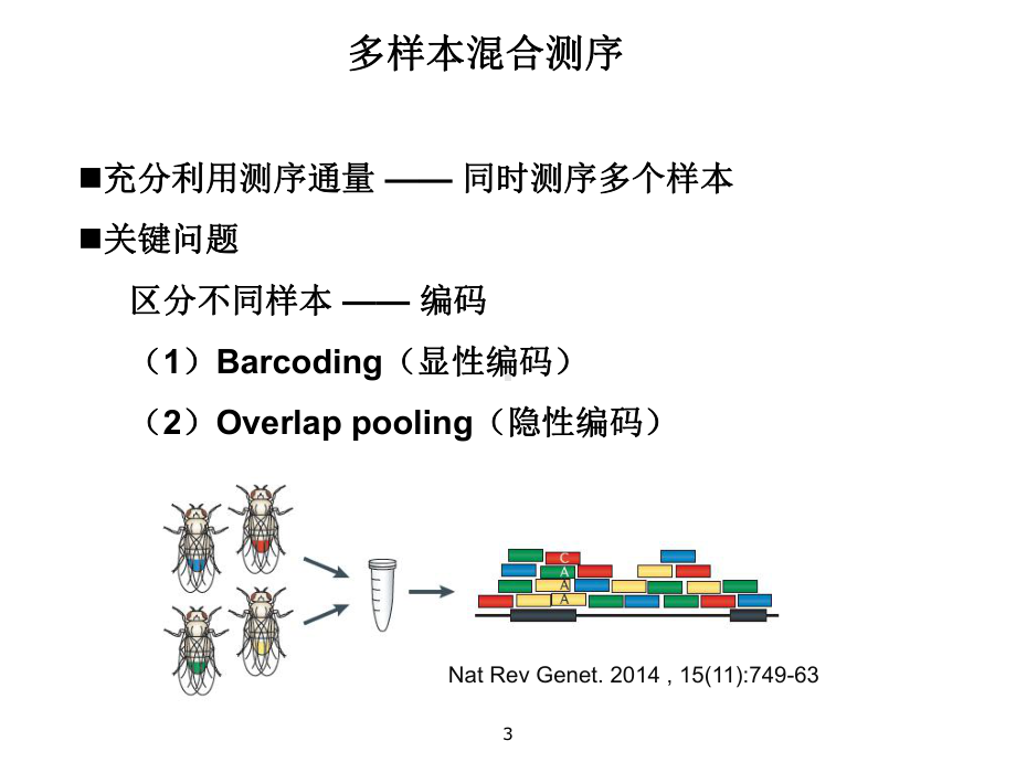 多样本混合测序的编码设计和解码算法.ppt_第3页