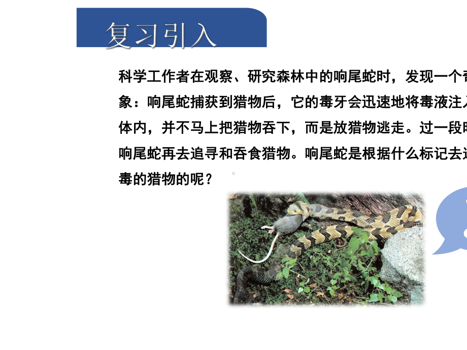 中考生物一科学探究习题课件.ppt_第2页