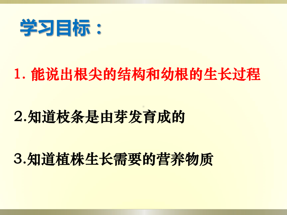 人教版生物七年级上册322《植株的生长》课件.ppt_第3页