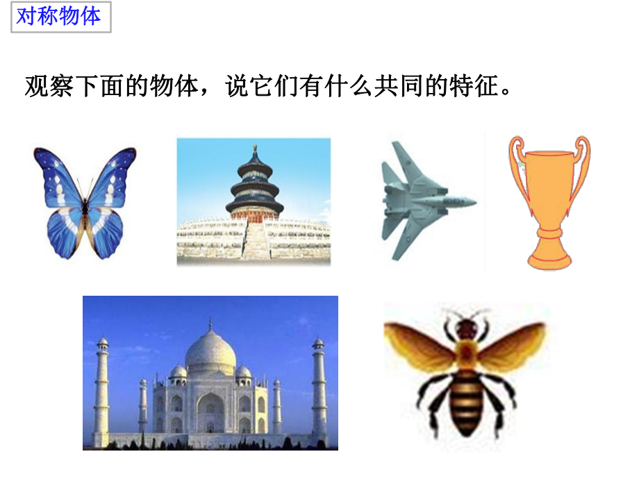 三年级上册轴对称图形.ppt_第2页