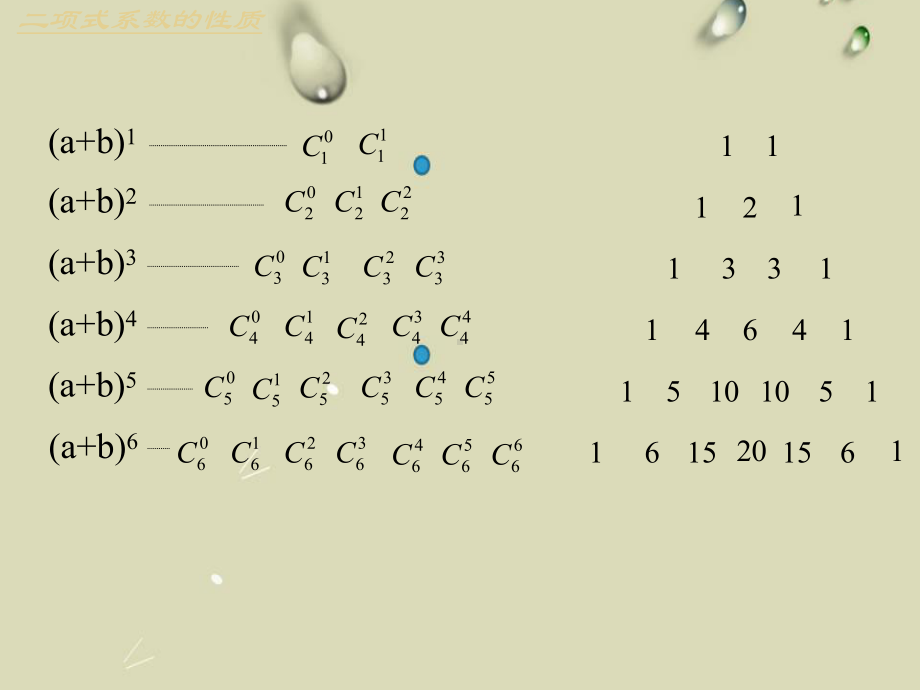 《二项式系数的性质》公开课课件2.ppt_第2页