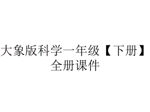 大象版科学一年级（下册）全册课件.ppt