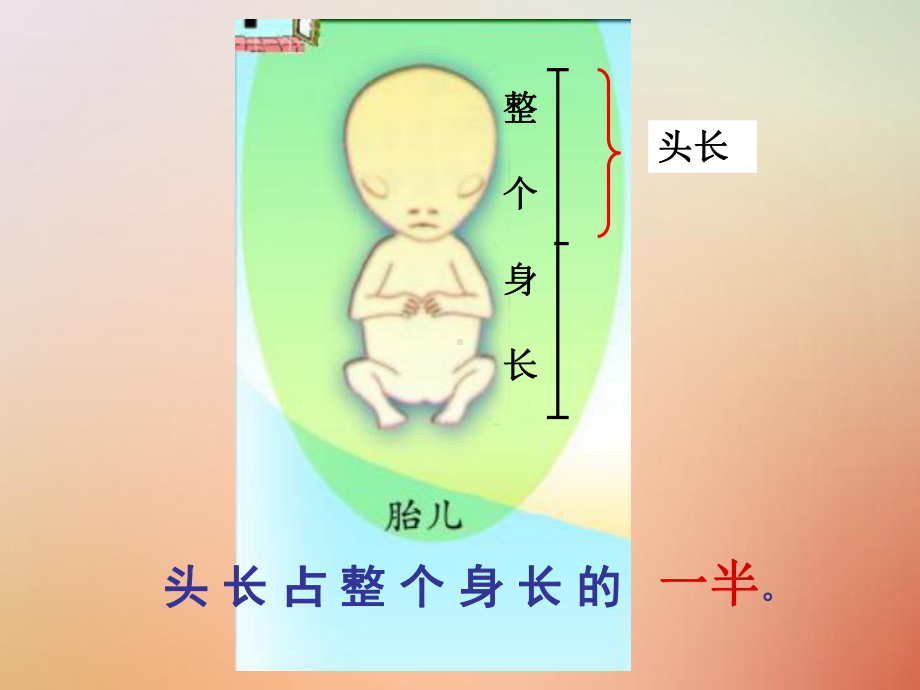 三年级数学上册第九单元《我当小厨师分数的初步认识》课件2青岛版.ppt_第2页