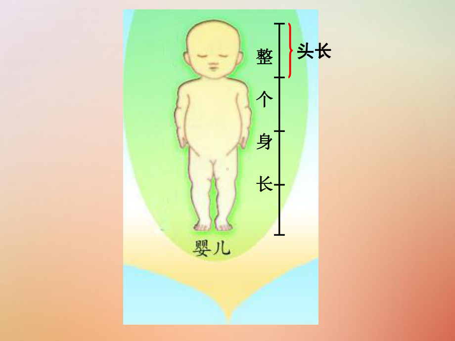 三年级数学上册第九单元《我当小厨师分数的初步认识》课件2青岛版.ppt_第3页