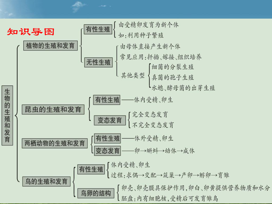 中考生物第七单元生物圈中生命的延续和发展第一章生物的生殖和发育课件(同名388).ppt_第3页