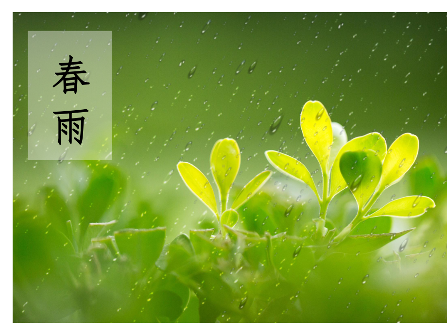 《雨的四季》课件-同课异构-获奖课件.pptx_第3页