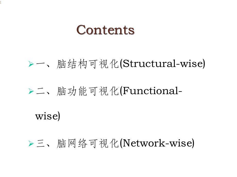 脑结构脑功能与脑网络的可视化课件.ppt_第2页