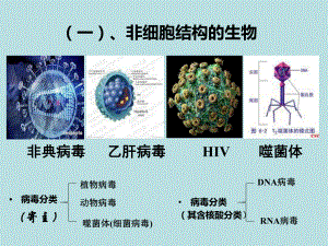 高中生物必修一课件从生物圈到细胞.ppt