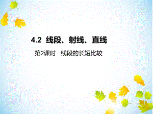 线段、射线、直线教案导学案练习题(湘教版5份)精选教学课件.ppt