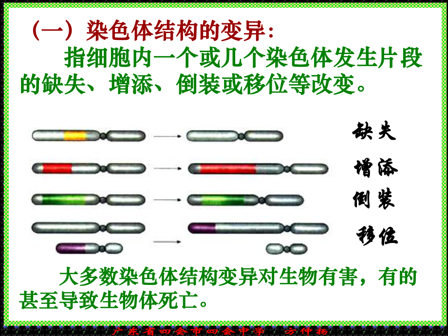 染色体变异课件精选教学课件.ppt_第3页