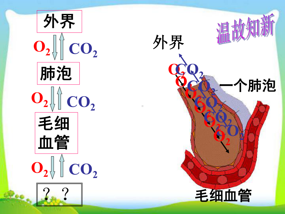 生物呼吸和呼吸作用(第二课时)课件(浙教版八年级下册科学).ppt_第3页