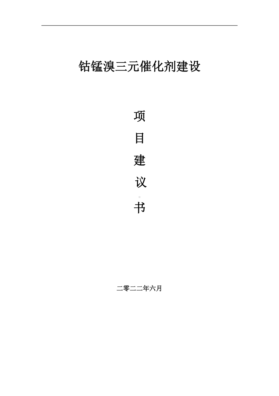 钴锰溴三元催化剂项目建议书（写作模板）.doc_第1页