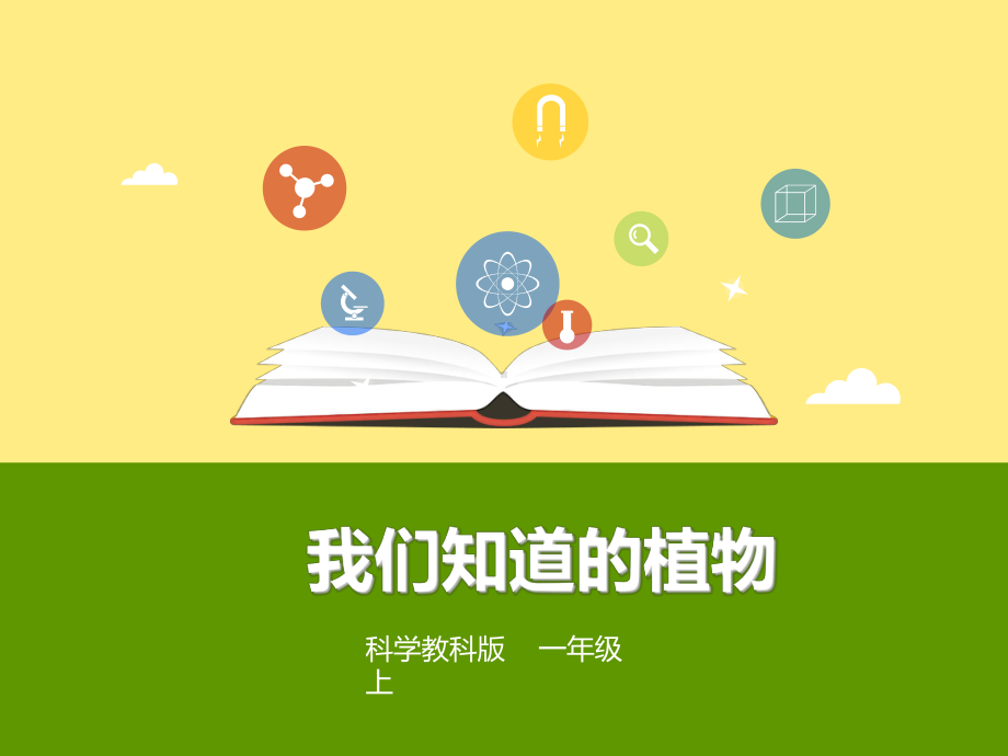 教科版一年级上册科学(第1课《我们知道的植物》)教学课件.ppt_第2页