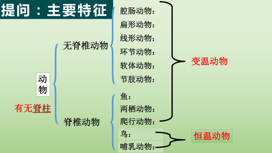 人教版生物八年级上册521动物的运动课件(30张).pptx_第1页