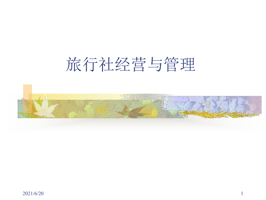 旅行社经营与管理课件.ppt_第1页