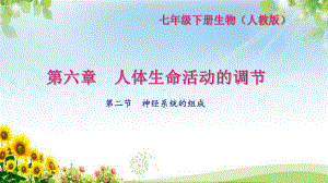 《神经系统的组成》练习题课件2.ppt