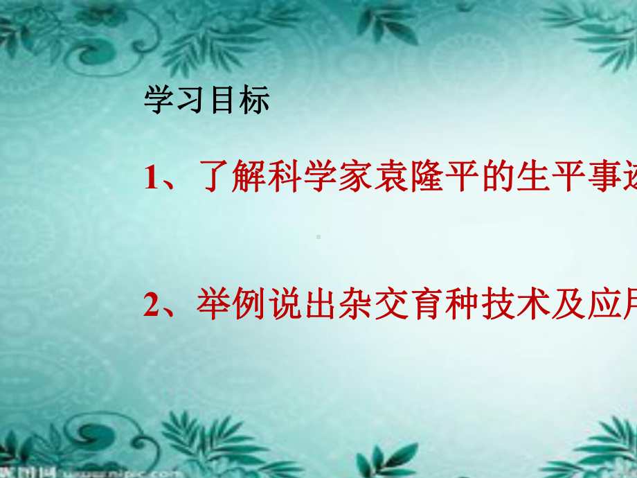 人教版八年级下册生物《科学家的故事袁隆平与杂交水稻》.pptx_第2页