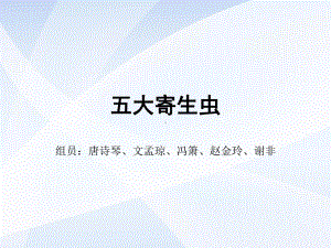 isas实训五大寄生虫zong课件.ppt