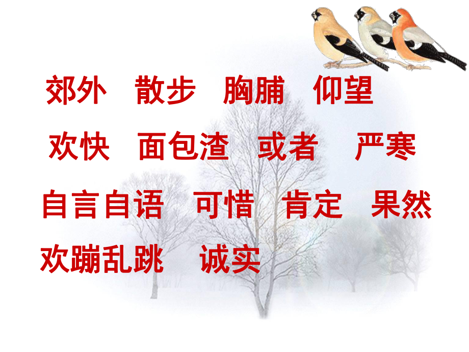 灰雀第二课时课件.ppt_第2页