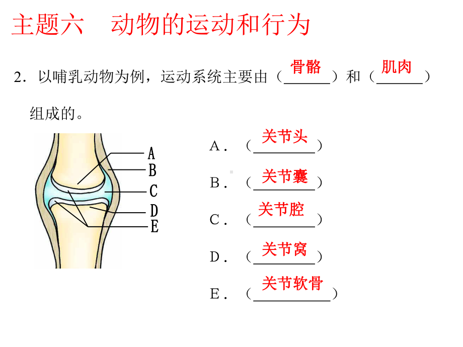 主题六动物的运动和行为.pptx_第2页